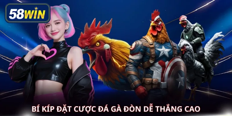 Bí kíp đặt cược đá gà đòn dễ thắng cao