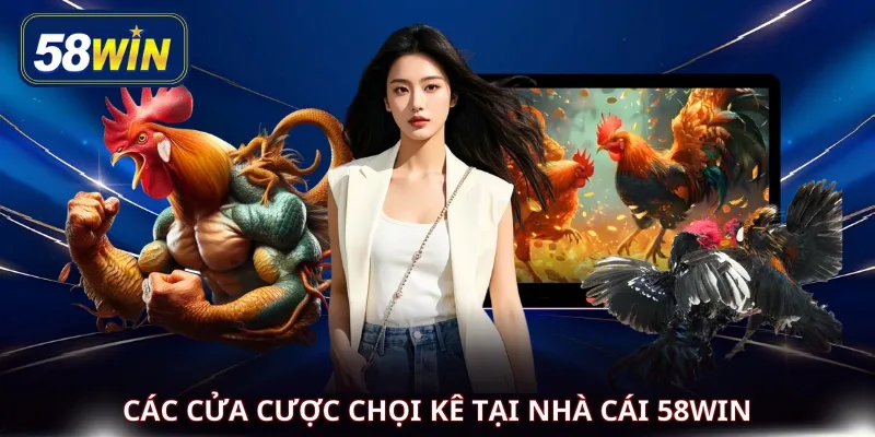 Các cửa cược chọi kê tại nhà cái 58WIN