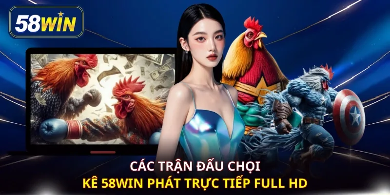 Các trận đấu chọi kê 58WIN phát trực tiếp full HD
