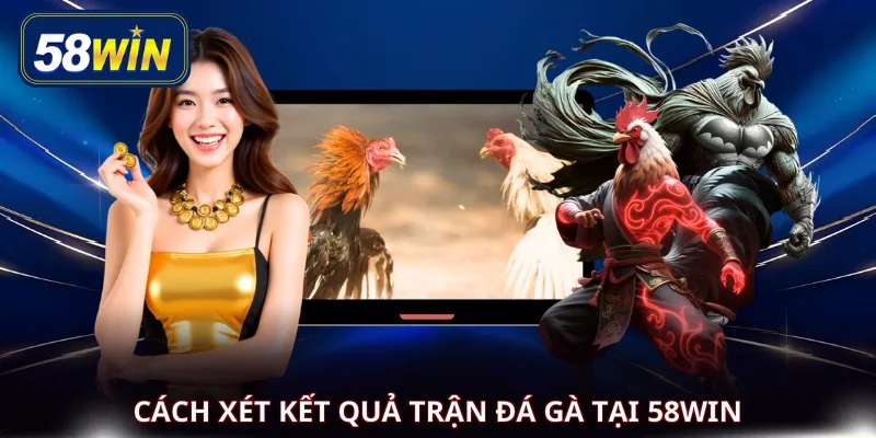 Cách xét kết quả trận đá gà tại 58WIN