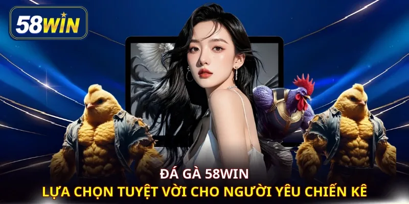 Đá gà 58WIN - Lựa chọn tuyệt vời cho người yêu chiến kê