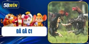 Đá Gà C1 - Trường Gà Đỉnh Cao, Luật Chơi & Mẹo Soi Kèo 2026