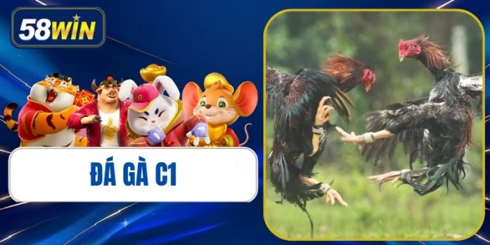 Đá Gà C1 - Trường Gà Đỉnh Cao, Luật Chơi & Mẹo Soi Kèo 2026