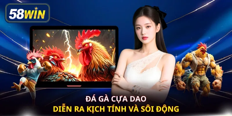 Đá gà cựa dao diễn ra kịch tính và sôi động