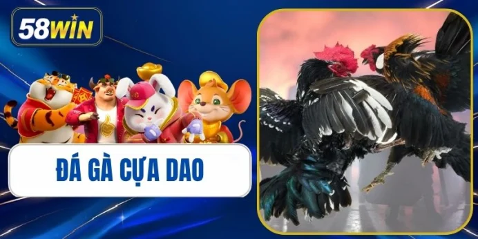 Đá Gà Cựa Dao - Luật Chơi & Kinh Nghiệm Dự Đoán Uy Tín 2026