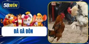 Đá Gà Đòn - Kinh Nghiệm Soi Kèo & Trực Tiếp Uy Tín 2026