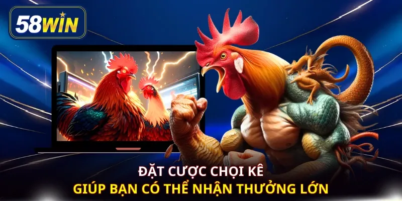 Đặt cược chọi kê giúp bạn có thể nhận thưởng lớn