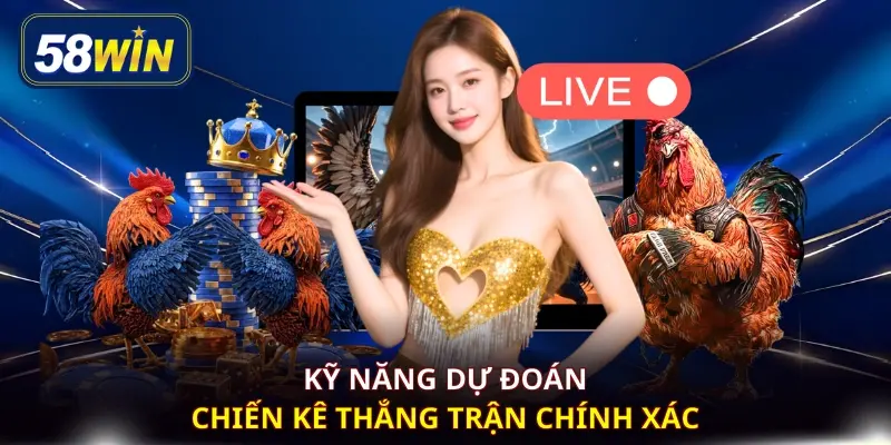 Kỹ năng dự đoán chiến kê thắng trận chính xác
