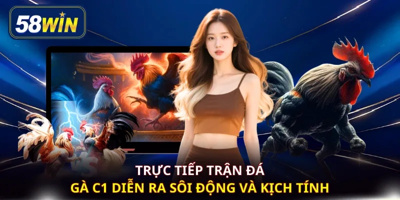Trực tiếp trận đá gà C1 diễn ra sôi động và kịch tính