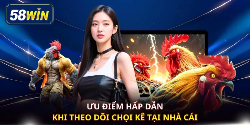 Ưu điểm hấp dẫn khi theo dõi chọi kê tại nhà cái